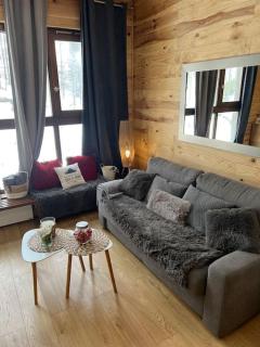 Studio front de neige pelevos - Isola - 8