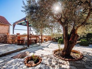 MY DALMATIA - Holiday home Jucinovi Dvori with private pool and sauna - Starigrad-Paklenica - 3