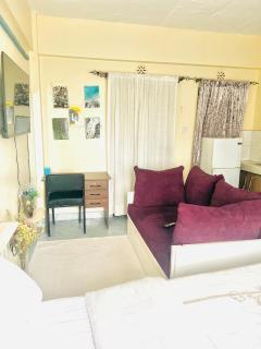 Fully furnished mini Studio Bedsitter in Ngara 1km to Nairobi CBD - Nairobi - 4