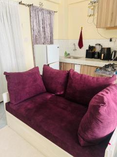 Fully furnished mini Studio Bedsitter in Ngara 1km to Nairobi CBD - Nairobi - 3