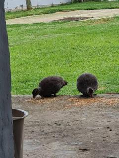 H & E Sunset Paradise - 2