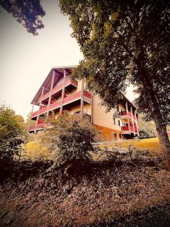 Wundervolle Ferienwohnung mit Bademantelzugang zur Therme - Bad Griesbach - 6