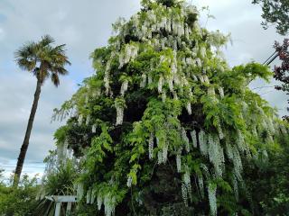 Guthrie Cottage - Havelock North - 3