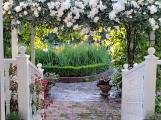 Guthrie Cottage - Havelock North - 1