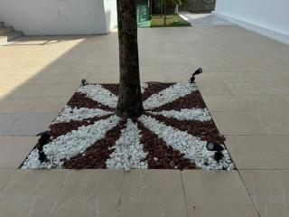 Encanto Tree Bies - 6