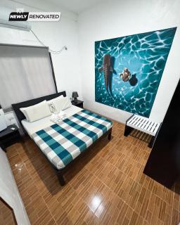 Crazy Bears Hostel - 2