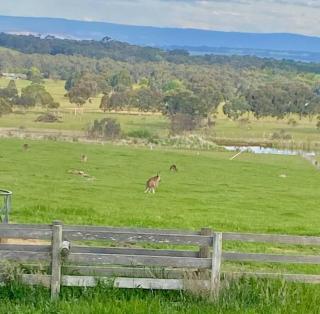 The Lancefield cottage - relax, revive and renew - - 2