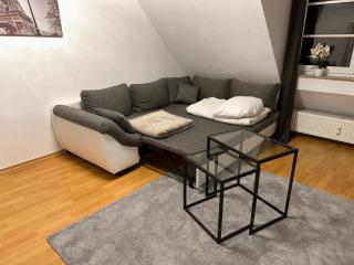 City Wohnung Zwickau - Zwickau - 7
