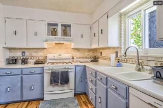 Whimsical Wonder - 2