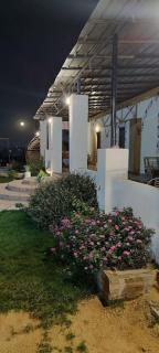 Pyramids Lodge - Il Cairo - 5