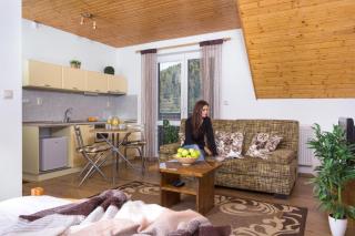 Apartmány Lipka - 7