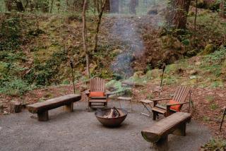 Your private Yurt in the woods - Nevada City - - 4