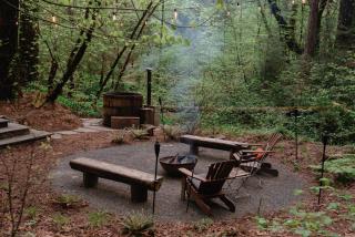Your private Yurt in the woods - Nevada City - 5