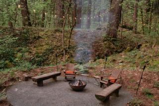 Your private Yurt in the woods - Nevada City - 1