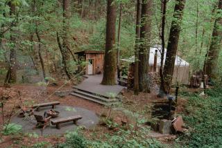 Your private Yurt in the woods - Nevada City - - 6