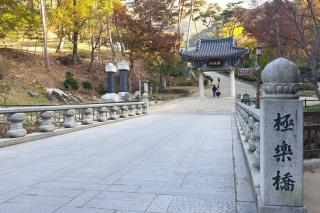 Seoul Best Eco-Friendly Apartment near National Mountain Park - Seul - 5