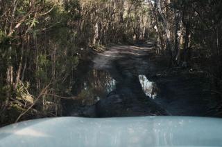 Roseneath Holiday Park - 6