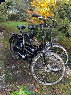 Huisje Elfde Wijk - 9