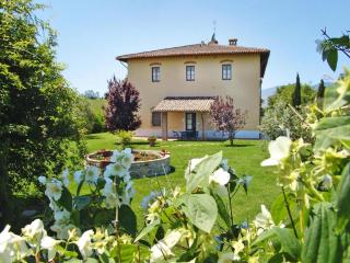 Agriturismo Poggio al Sole, Vinci - Vinci - 0