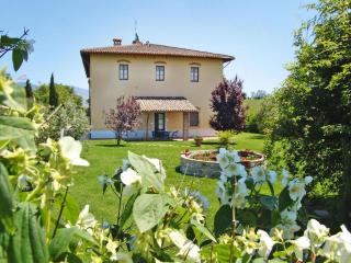 Agriturismo Poggio al Sole, Vinci - Vinci - 6