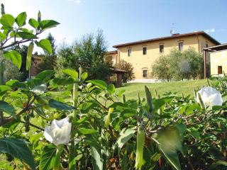 Agriturismo Poggio al Sole, Vinci - Vinci - 7