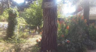 Chalet zona del bosque - 7