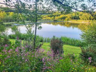 Bluebell Lodge - Holsworthy - 8