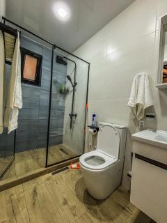 Black Sea Gemini - 2