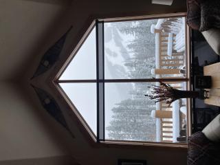 Antler at Lakota 407 home - 4