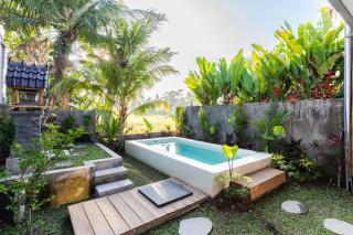 1BD Apartment Parafrutts in Ubud - Ubud - 0