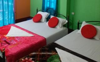 The Leo Homestay Jayanti By StayApart - Jayanti - 6
