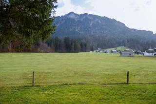 Haus Alpina - Mellau - 2