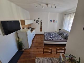 City Center Apartments - Moderna Brno Římské náměstí V - 7