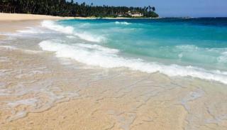 Chico Green - Tangalle - 2