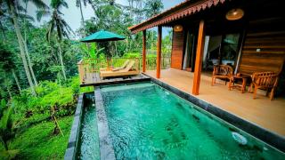Villa Nissa Ubud - Ubud - 3