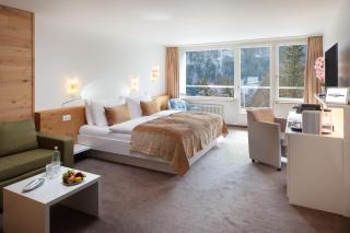 Hotel Waldegg - Adults only - 3