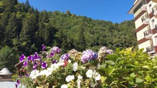 Ridos Thermal Hotel & Spa - İkizdere - 2