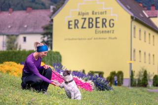 Erzberg Alpin Aparthotel by ALPS RESORTS - Eisenerz - 1