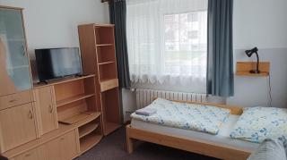 Ubytování Velký Týnec 376 - Velký Týnec - 9