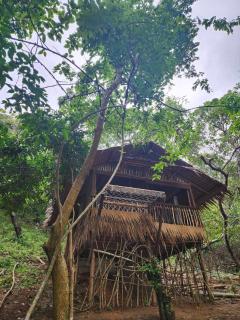 Bice Overlooking Cabins Darocotan - El Nido - 9