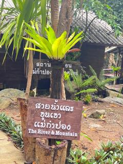 สายน้ำและขุนเขาแม่กำปอง The River & Mountain maekampong - Chiang Mai - 2