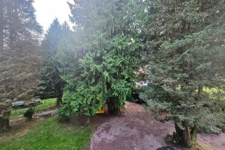 Le Pavillon dans le Parc - Saulxures-sur-Moselotte - 4