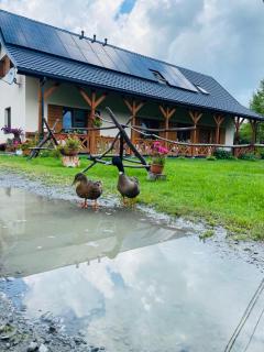 Pensjonat U Szeryfa Dwernik - Dwernik - 6