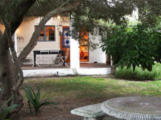 Lavender’s Blue - 4