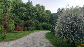 Penzion Hájovna U Dubu - Karlštejn - 2