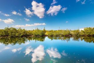 Beachside Fantasy - Big Pine Key - 8
