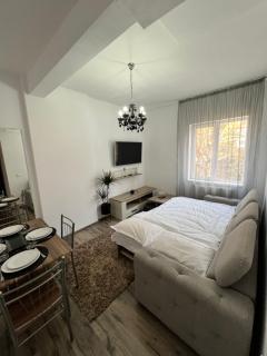 Central Cozy Apartament - Craiova - 7