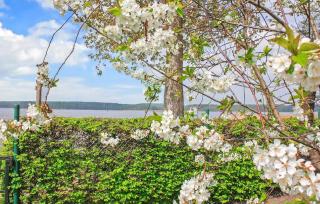 Ferienwohnung Userin - 2