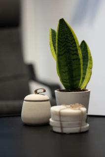 Urban Chic Hideaway Near Athens Center & Metro - Athene - 1
