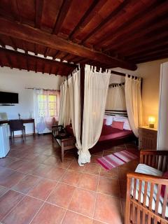 Podere Scoldasu - Venere - 2